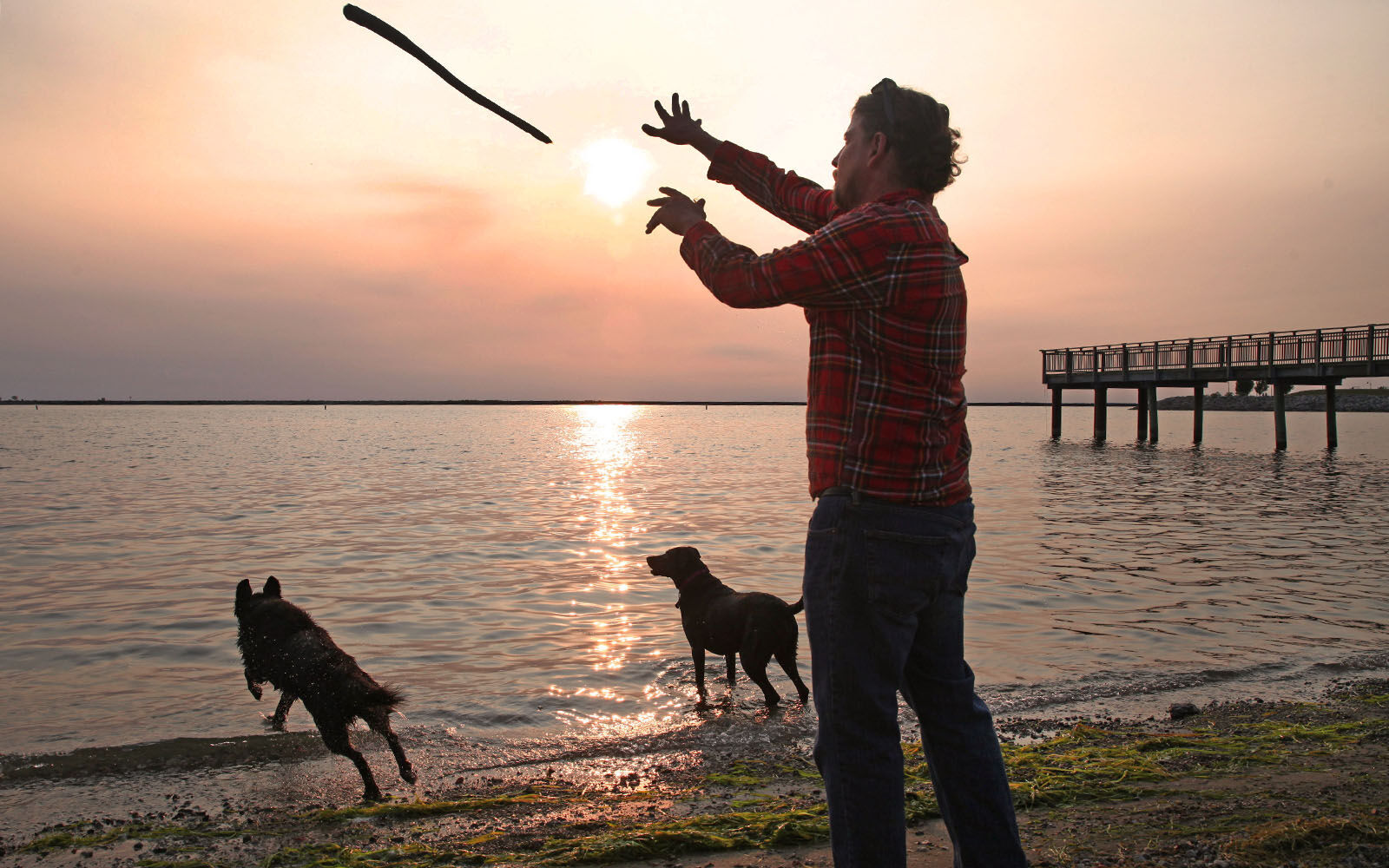 Fetch
